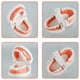 thumbnail image 4 of Muyoka Modelo de dientes Modelo de dentadura de alta simulación Modelo de demostración con 28 dientes para pantalla limpia Modelo de boca dental para niños Práctica de enseñanza temprana Muyoka Hogar, 4 of 7