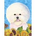 thumbnail image 1 of Carolines Treasures SS4160CHF 28 x 40 In. Bichon Frise Flag Canvas- House Size, 1 of 4
