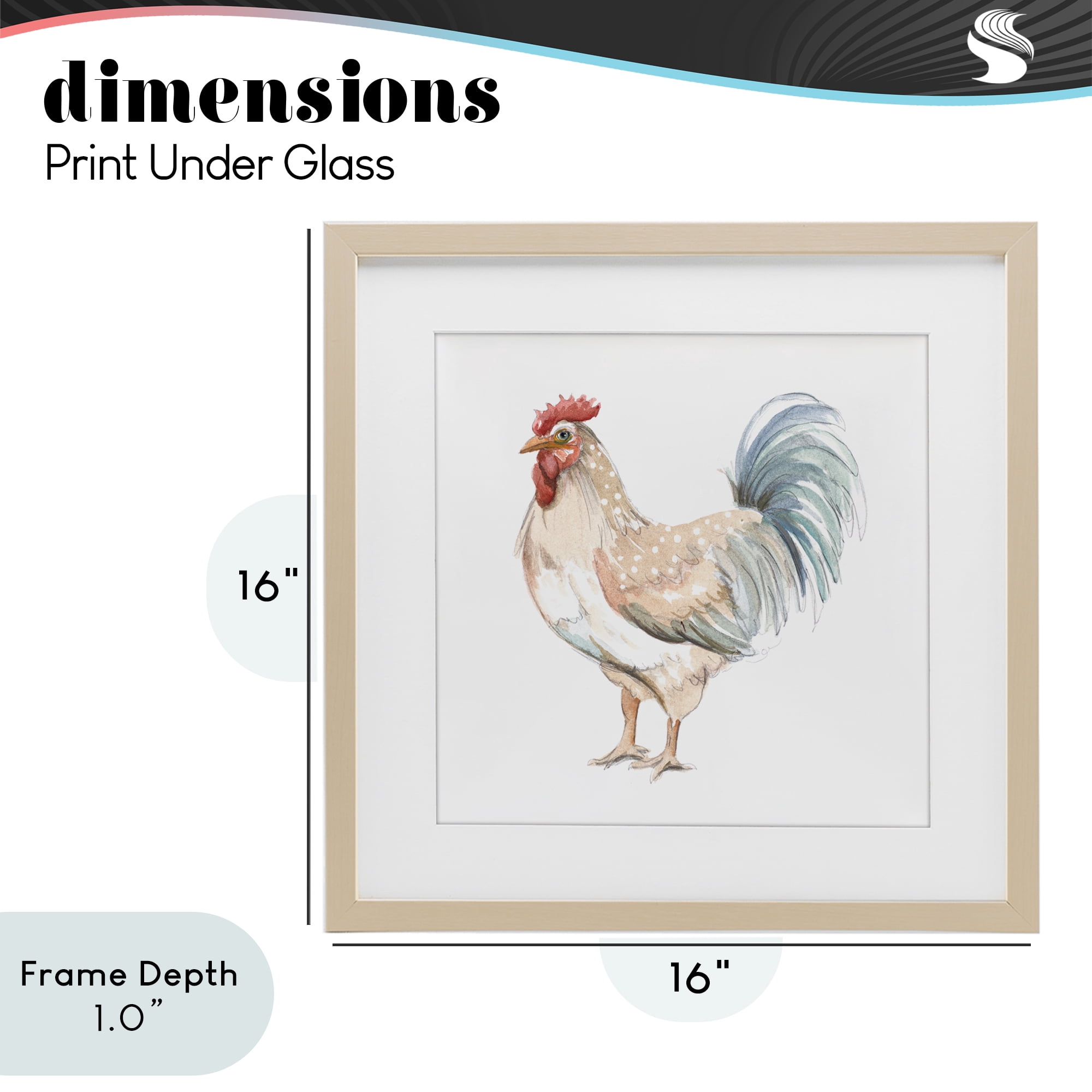 Stupell Industries Watercolor Rooster Sketch Birch Framed Print Under Glass, design by Patricia Pinto