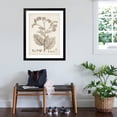 thumbnail image 3 of Art.com Antique Sepia Botanicals IV Art Print by 0 Unknown, Black Frame Wall Art, 32" x 40", 3 of 5