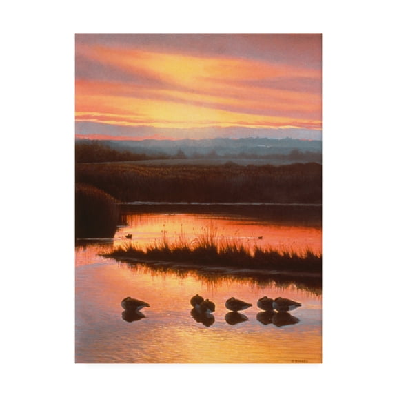 Trademark Fine Art 'Sanctuary Orange' Canvas Art by Michael Budden