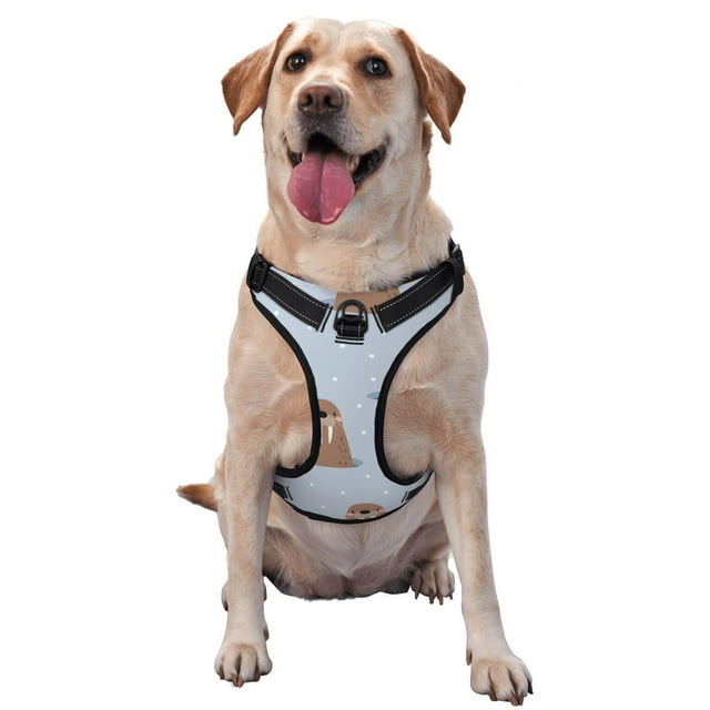 Balery Playful Walrus Wonders Arnés para Perros Grandes Antitirones, Arnés con Correa para Gato, Arnés Tipo Chaleco para Perros Pequeños-Large