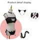 thumbnail image 4 of Lencería japonesa Anime lindo gato ojo de cerradura traje Babydoll oreja de gato aro de pelo cola de gato - Negro, 4 of 6