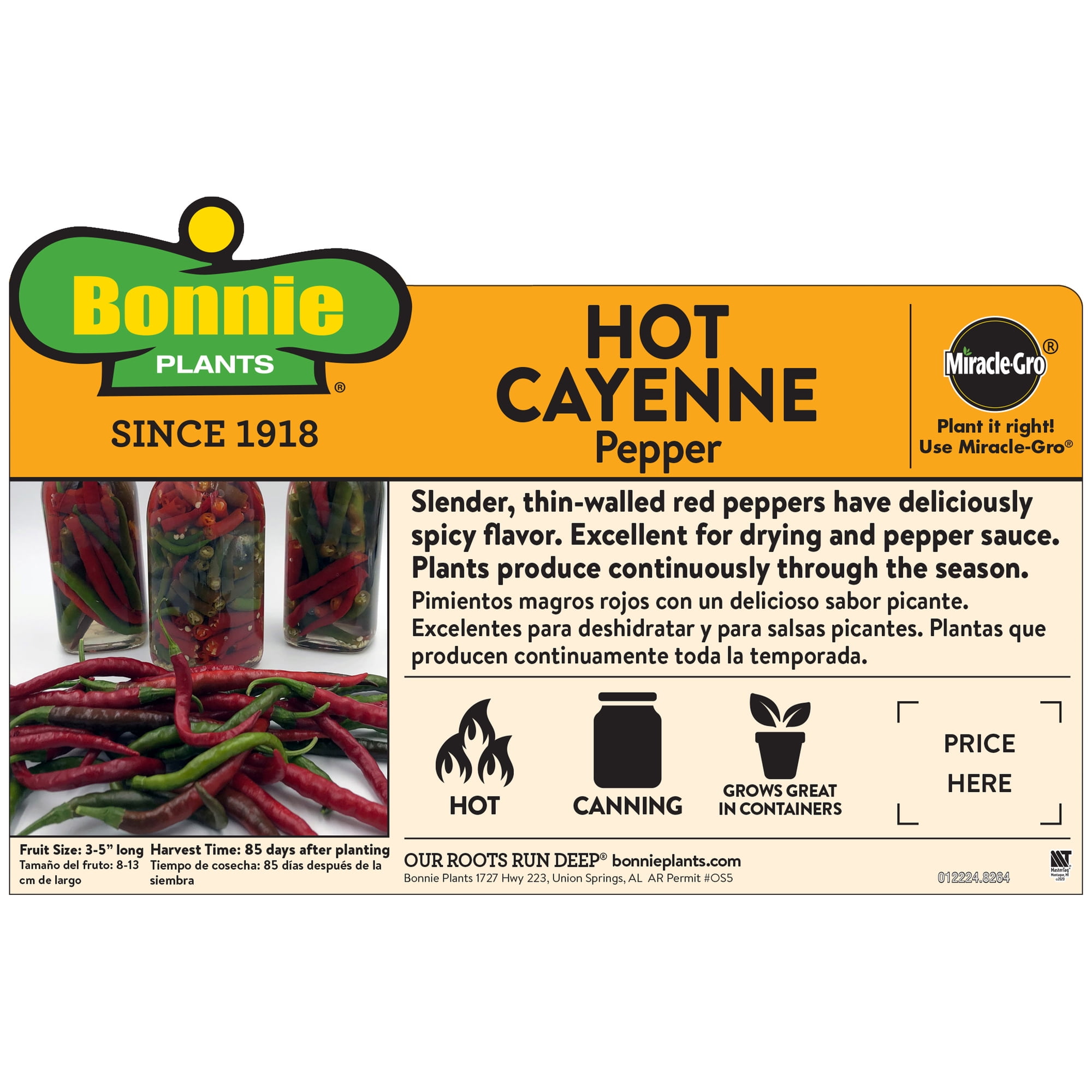 Bonnie Plants Hot Cayenne Pepper 6-pack