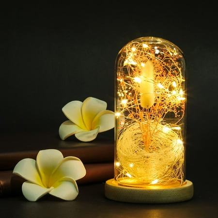 Led Lighting Glass Dome Dried Flowers Vase With Wooden Base Home