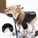 thumbnail image 5 of Abrigo para perro, ropa de invierno para perros, abrigo cálido y cómodo para mascotas, abrigo para perros, negro, talla M, 5 of 5