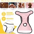 thumbnail image 3 of Pañales lavables para perros (paquete de 3), altamente absorbentes, Pañal para perros, Paquete de 3 pañales lavables para perros, Pañales reutilizables para perras (Gris Rosa Amarillo, XS), 3 of 5