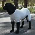 thumbnail image 3 of Large Dog Clothes Post Surgery Wear, UPF 50+ Dog Pajamas, Pitbull Large Dog Shirt for Labrador Doberman Boxer Short Hairs breed Dog Lightweight Pullover Pajamas/Full Coverage Dog pjs, 3 of 7
