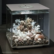 biOrb Natural Starfish Set