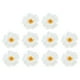 thumbnail image 1 of Uxcell Flores de Hibisco Hawaianas Flores Artificiales Clip para el Cabello DIY Flor de Hibisco de Espuma Blanca Paquete de 10, 1 of 6