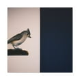 thumbnail image 2 of "Tufted Titmouse Stillness" - Canvas, 2 of 25