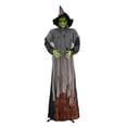 thumbnail image 1 of Decoración de Halloween Way to Celebrate Bruja de Pie 66 Pulgadas, 1 of 4