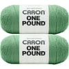 Caron One Pound Yarn-Grassy Meadow, Multipack Of 2
