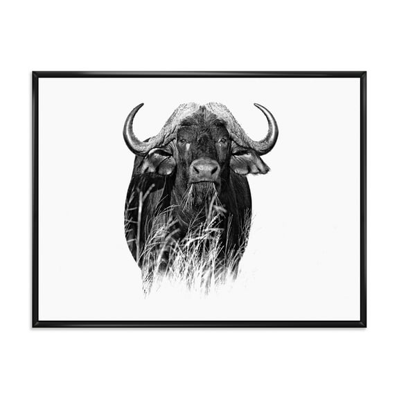 Black and White Portrait Of Buffalo IV 20 in x 12 in Framed Photography Canvas Art Print, by Designart
