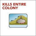 thumbnail image 6 of Raid Ant Gel, Colony Killer Gel Ant Baits Continue Killing for up to 1 Month, 1.06 oz, 6 of 14
