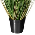thumbnail image 3 of Vickerman 36" Artificial Potted Green Curled Grass., 3 of 7