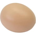 thumbnail image 2 of 5Pcs Fake Egg Artificial Hen Poultry Coop Nest Plastic fast-shop, 2 of 2