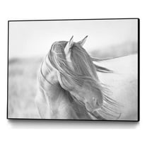 Giant Art Canvas  24x18 Fierce Grace Framed in Multi-Color