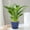 Blue, variant on Oefntac up to 40% off Gifts Plant Pots 3 5 Inch Plastic Plant Pots with Saucers Drains Holes Indoor Outdoor Flower Pots for Succulents Herbs Cactus Modern Lightweight
