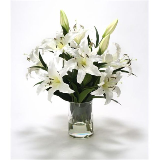 Waterlook White Casablanca Lilies in Glass Cylinder