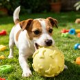 thumbnail image 2 of Squeaky Dog Ball Raised Texture Dog Chew Toy Bite-Resistant Puppy Teething Toy for Dogs Teeth Cleaning Boredom Relief, 2 of 8