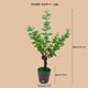 thumbnail image 3 of Luces LED de ramitas - Luz nocturna blanca cálida alimentada por USB • 30 LED • IP44 impermeable • Decoración artificial para plantas de 45-50cm, 3 of 7