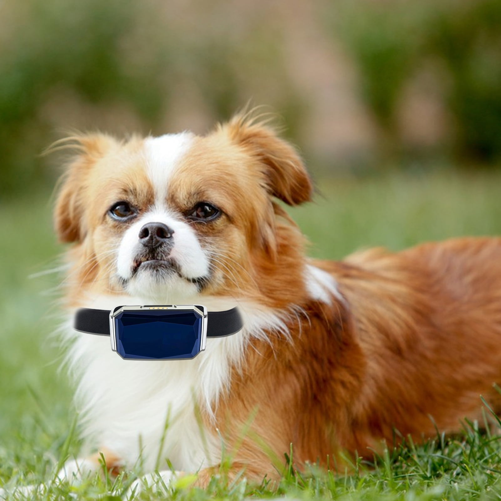 Mightlink Pet Tracker Adjustable Virtual Fence IP68 Waterproof Location History Live Tracking Precise Position Plastic Pet Dog Cat Location Activity Tracker Collar Pet Supplies