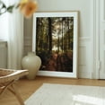 thumbnail image 6 of In the Woods at Puffers Pond, Amherst 03 - Amherst Massachusetts Photography Forest Nature Woodland Landscape Scenic Autumn Woods Oak Framed Wall Art Print 11 x 14 inches, 6 of 12