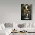 thumbnail image 3 of Trademark Fine Art 'Autumn Waterfall Cliffs' Canvas Art by Brenda Petrella Photography Llc, 3 of 3