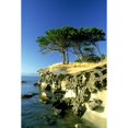 thumbnail image 2 of Cypress Trees On Sandstone Islet Near Gabriola Island British Columbia Canada Poster Print (24 x 36), 2 of 4
