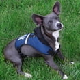 thumbnail image 3 of Pets First Collegiate Utah Utes Dog Harness - Football Pet Harness Vest - Dog Leash Harness - Adjustable - Medium, 3 of 5
