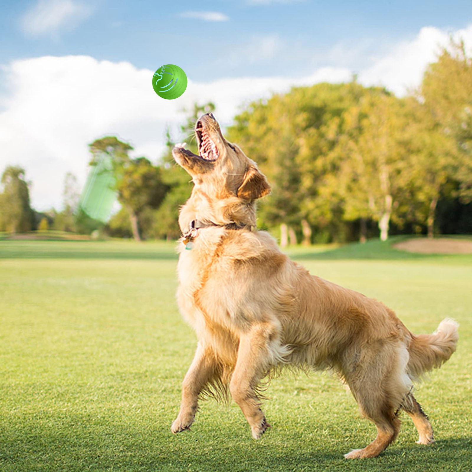 Automatic Rolling Dog Ball - Smart Interactive Toy with Motion Activation for Puppy & Small Medium Dogs, 360° Jumping Bouncing Rotating Ball for Indoor Outdoor Play, Chew Resistant