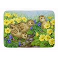 thumbnail image 1 of Carolines Treasures ASA2177RUG Pheasant Chicks Machine Washable Memory Foam Mat, 1 of 4