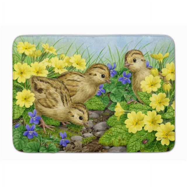 Carolines Treasures ASA2177RUG Pheasant Chicks Machine Washable Memory Foam Mat