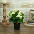 thumbnail image 2 of Northlight 11" Cream Potted Silk Begonia Spring Artificial Floral Arrangement, 2 of 5