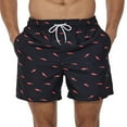 thumbnail image 2 of IROINNID Men's Printed Loose Waterproof Comfy Beach Shorts Casual Fitness Shorts, 2 of 4