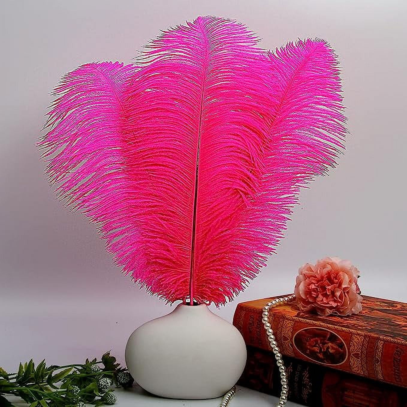 Xiao Hua 12pcs Fuchsia Ostrich Feathers Natural Bulk 16-18Inch 40cm-45cm for Wedding Party Centerpieces Easter Gatsby and Home Decorate Ostrich Feathers