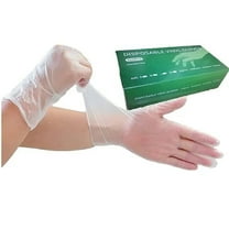 Vinyl Disposable Gloves 1 Case of 1000 Gloves