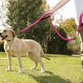 thumbnail image 6 of VIVAGLORY Dog Leash Pullsafe Bungee Dog Leash with 2 Padded Handle & Double Handle for Training & Walking, Bungee Anti Pull for Pet That Pull, 4ft x 1in, Turquoise, 6 of 6