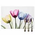 thumbnail image 2 of Colorful Tulip Floral Placemats Set of 8, Watercolor Flowers Table Mats Washable Heat-Resistant Non-Slip Place Mats for Kitchen Dinner Table Indoor Outdoor Decor,13x19 Inch, 2 of 9