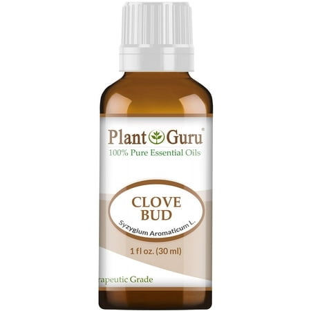 Huile Essentielle de Clou de Girofle 1 oz / 30 ml 100 % Pure Non Diluée de Qualité Thérapeutique pour Diffuseur d'Aromathérapie, Remèdes Naturels pour la Peau, le Corps, les Cheveux. Idéale pour la Fabrication de Bougies et de Savons DIY.