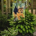 thumbnail image 2 of Caroline's Treasures SS8907-FLAG-PARENT Norwich Terrier Flag, , multicolor, 2 of 2