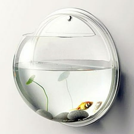 Pretty Acrylic Wall Mount Fish Tank Semicircle Aquarium Home Office Hotel (Best Aquarium Sump Design)