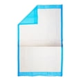 thumbnail image 6 of Platinum Care Pads Disposable Underpads Size 17"x24" 22 Gram 300 Case (3 bags of 100), 6 of 6