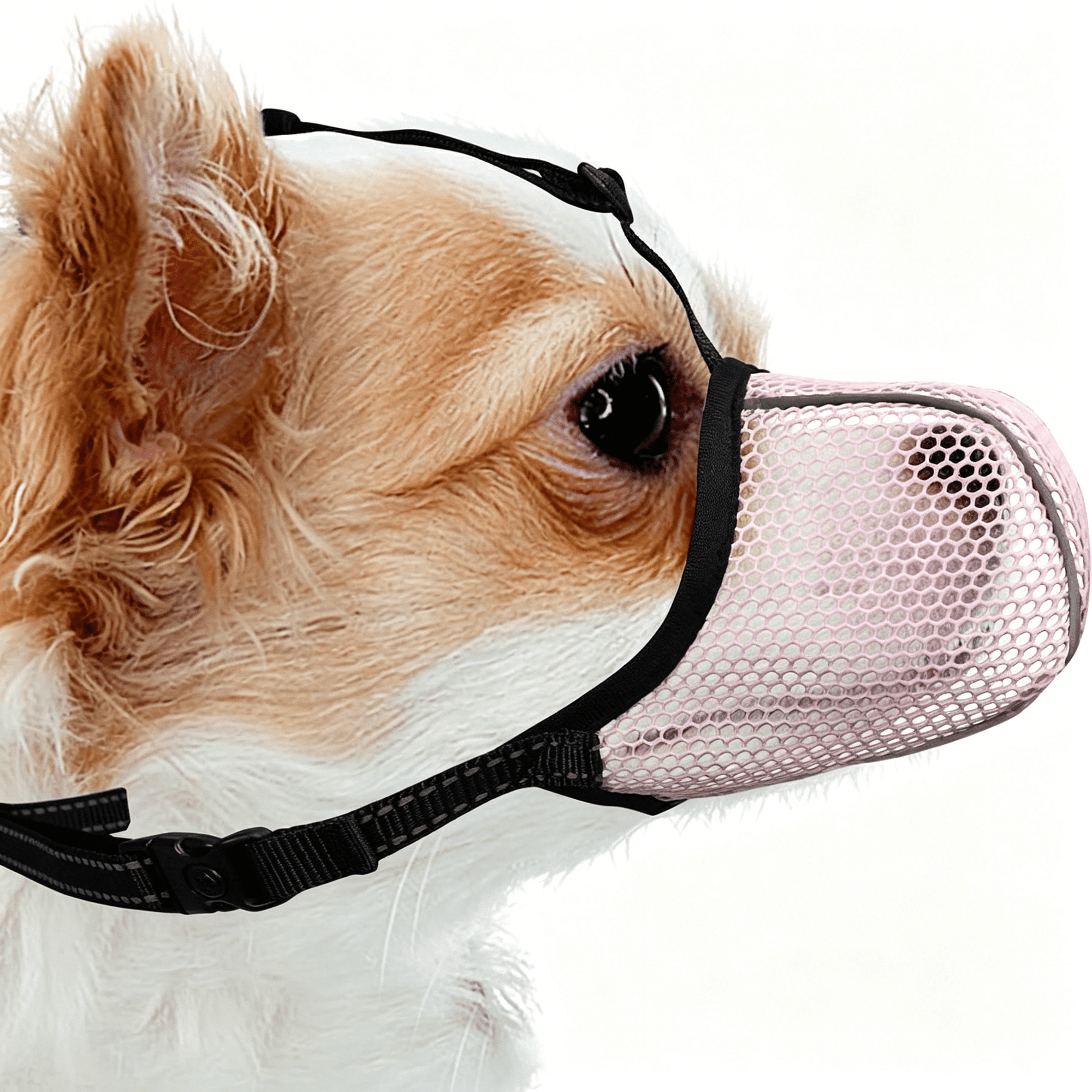 GASTROPOD Soft Dog Muzzle for Extra Small Dogs, Breathable Air Mesh Basket Muzzle to Prevent Barking & Biting, Adjustable Reflective for Dachshund Pink XS