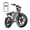 R004-48V/15Ah-White, variant on TST Electric Bike for Adults, 750W Motor, 20"x4" Fat Tire, 20Mph Speed EBike, Full Suspension E Mountain Bike, 48V/15AH, UL2849