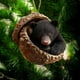 thumbnail image 1 of Adornos acrílicos para el árbol de Navidad | Colgantes festivos en 2D para la repisa de la chimenea y la decoración de ventanas, 1 of 7