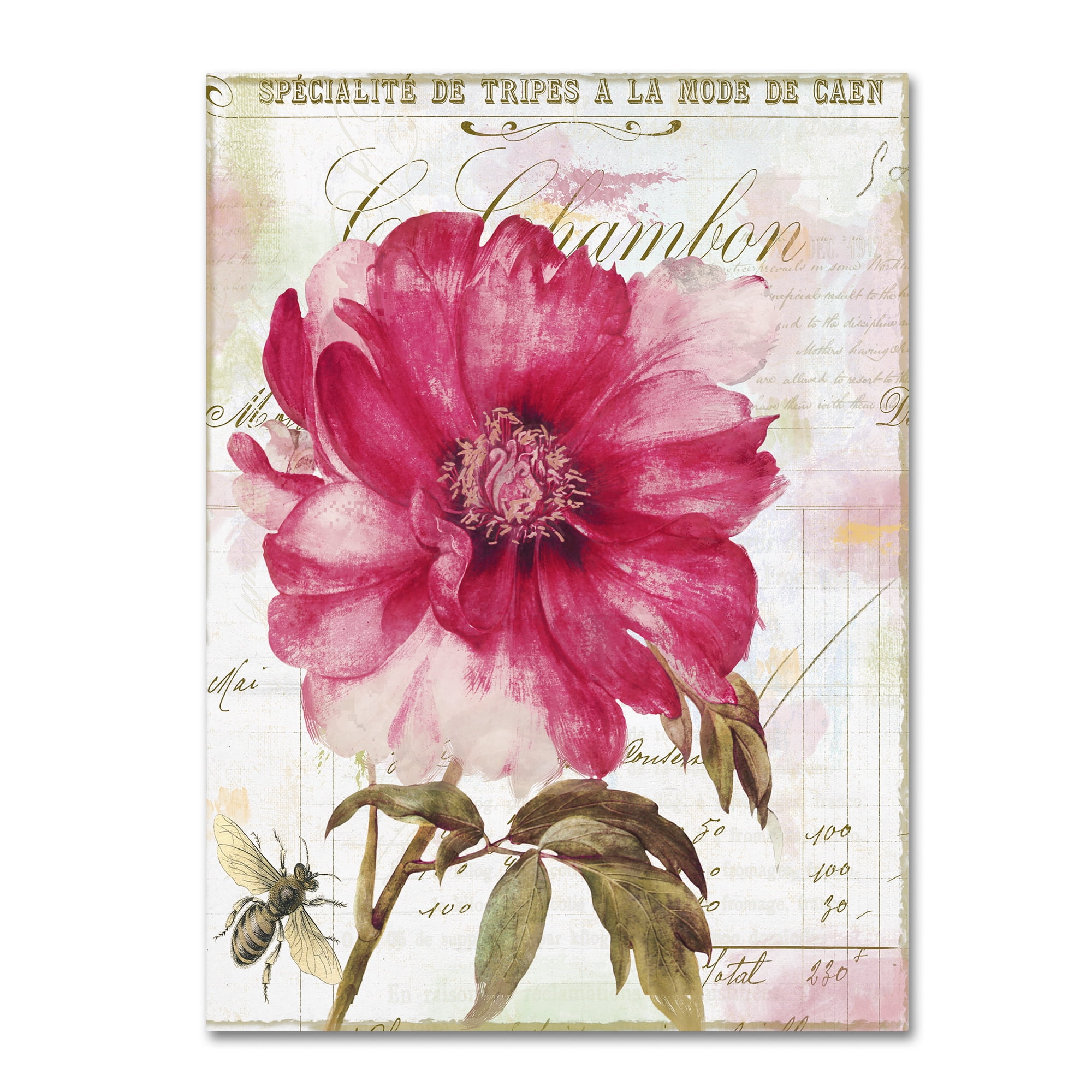 Trademark Fine Art "Lepink With Bee" Canvas Art by Color Bakery
