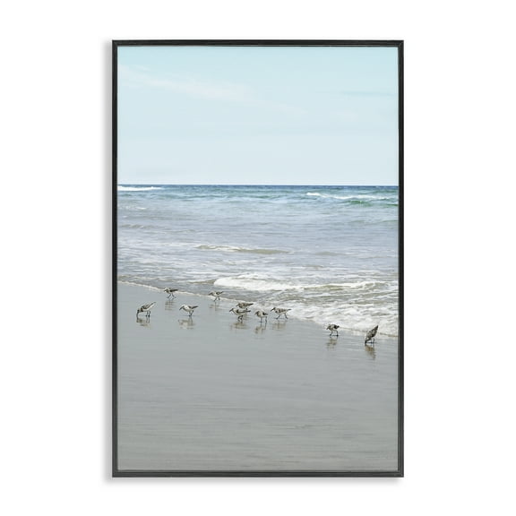 Stupell Industries Energetic Beach Birds Nautical & Beach Photography Black Framed Art Print Wall Art, 12 x 18