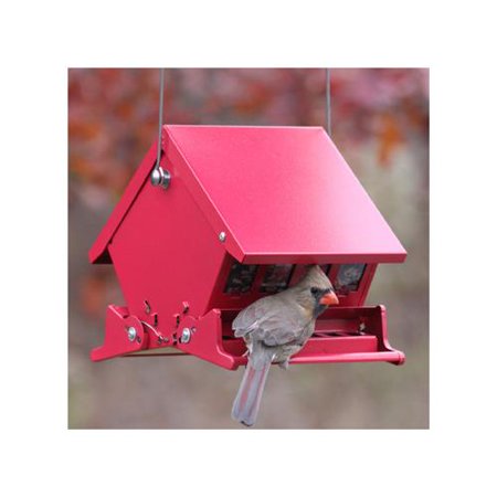 Woodlink 7458 Absolute Ii Squirrel Proof Hopper Bird Feeder Mini